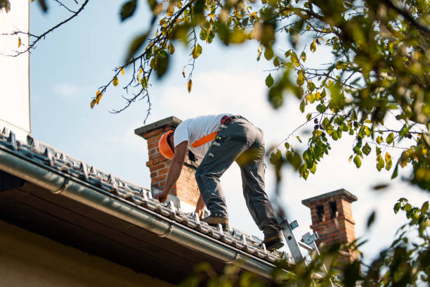 Best Roof Gutter Cleaning  in Waipio, HI